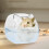 Transparent Plastic Pet Bath Basin for Small Pets 1 Piece 8