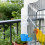 Automatic Parrot Water Dispenser Bottle with Stainless 4