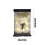 PE Rose Bear Eternal Flower Gift for Girlfriend White 3