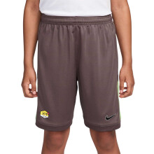 (13 Years, Plum) Nike Childrens/Kids Km Air Logo Football Shorts