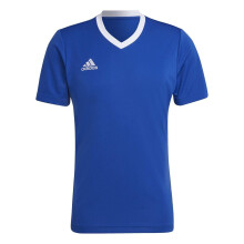 (XXL, Royal Blue) Adidas Mens Entrada 22 V Neck Training T-Shirt