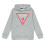 Guess (12 Years, Grey) Guess Childrens/Kids Oth Logo Drawstring Hoodie 1