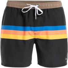 (M, Black/Multicoloured) Quiksilver Mens Stripes Swim Shorts