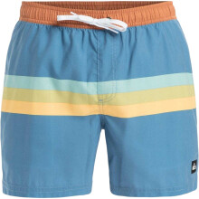 (S, Coronet Blue) Quiksilver Mens Stripes Swim Shorts