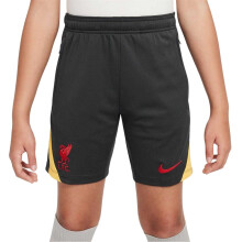 (9-10 Years, Grey) Nike Childrens/Kids Strike Shorts