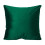 Green Velvet Throw Pillow 45x45cm Polyester with Insert 1