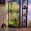 1set LED Growing Light, Dimmable and Timer Growing Light, Under-Cabinet Growing Light, European Standard Plug EU Plug 2
