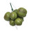 Realistic Coconuts Fruit Vegetable Model Photography Props Durable ABS Materials 1