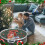 Christmas Wreath Storage Bag White 30 inch 8