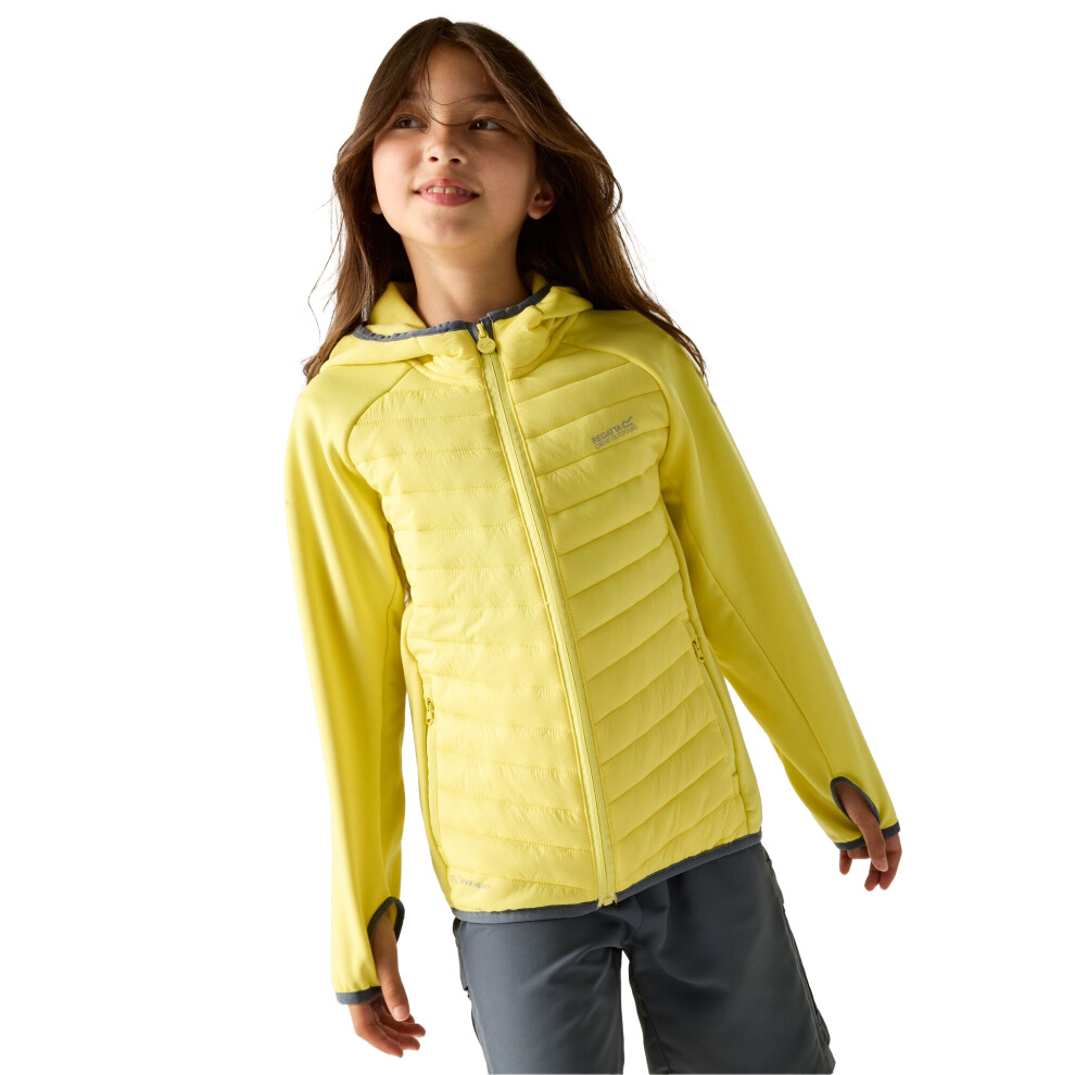 Regatta (10-11 Years, Canary Yellow) Childrens/Kids Andreson Hybrid Padded Jacket