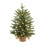Pre-Lit Artificial Christmas Tree Warm White LED 18 Inch 1