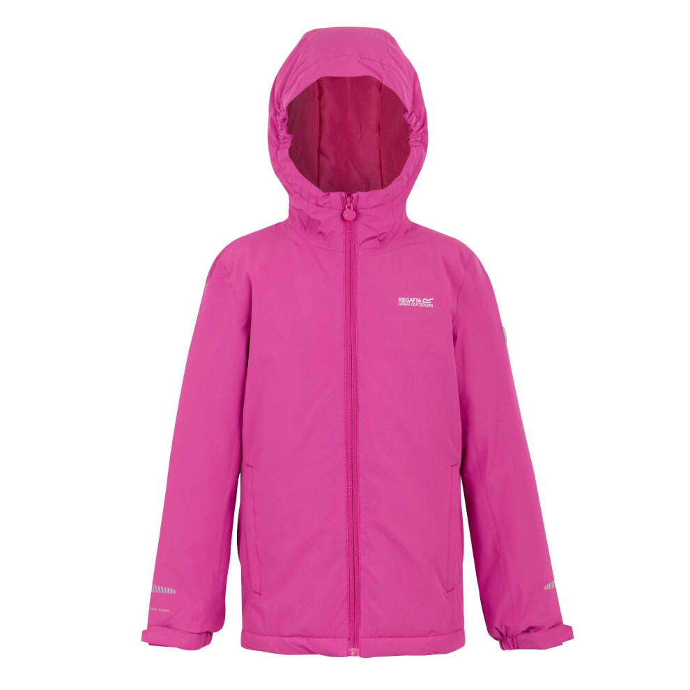 Regatta (3-4 Years, Raspberry Rose) Childrens/Kids Hurdle Insulated Waterproof Jacket