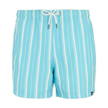 (XXL, Nordic Blue/White) Regatta Mens Loras Stripe Swim Shorts