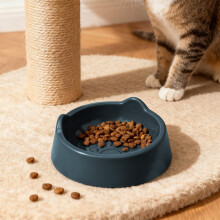Ceramic Pet Food Bowl Wide Raised Design for Cats and Small