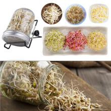 Paquet de 12 Couvercles de Pot de Germination en Acier Inoxydable pour Pot Mason Ă Ouverture Large et Large pour la Culture des Germes
