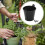 Galvanized Metal Ice Bucket with Handle 5 pcs 8