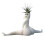 2PCS Funny  Booty  Planter, Prank Gift Decor Planter Air Fern Display Stand,  Booty  Planter 1