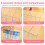 Drink Packet Organizer with Removable Divider & 6 Compartment, Mounted Water Packet Organizer with Soft Magnetic 6