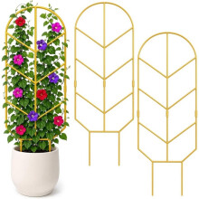 2 Pack Large Climbing Plant Trellis, 30'' Tall Garden Support for Potted Plants Indoor,for Crawling Plants (Gold)