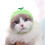 Pet Hat Fruit Themed Breathable Non-woven Sun Protection Cap 8