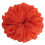 Soft Chiffon Scrunchies 38 Colors Large Ponytail Holders 3