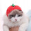 Pet Sun Protection Hat Fruit Shape Breathable Non-woven 3