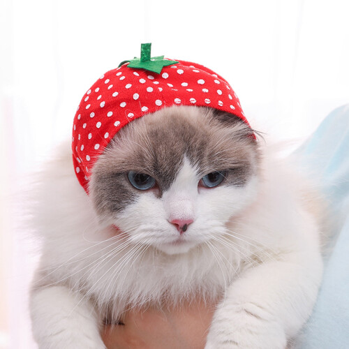 Pet Sun Protection Hat Fruit Shape Breathable Non-woven 2