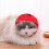Pet Sun Protection Hat Fruit Shape Breathable Non-woven 6