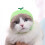 Pet Sun Protection Hat Fruit Shape Breathable Non-woven 8