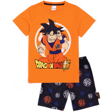 (6-7 Years) Dragon Ball Z Short Sleeve Short Leg Pyjama Set (Unisex Kids Orange)