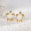 Opal Sea Turtle Stud Earrings Gold Plated 1 Pair 2
