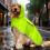 Dog Raincoat Transparent Hood Reflective Trim Adjustable 3