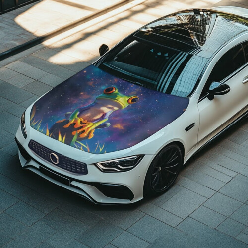 Galaxy Hippie Frog Car Hood Cover Waterproof Polyester 2