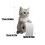 3D Cat Toilet Paper Holder Wall Mount for Bathroom Kitchen 2