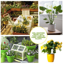 Moniteur Intelligent de Fleurs et de Flore, Testeur de Fertilité Du , D'Eau et D'Humidité pour L'Entretien Du Jardin