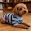 Pet Cat Summer Clothes Lightweight Soft Breathable Striped 2