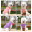 Dog Sweater Cotton Solid Color Small Dog Vest 8