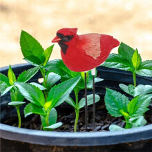 Soil Moisture Meter,Simulated Bird Shape Intelligent Soil Meter with Automatic Alarm,Watering Alarm
