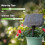 Solar Irrigation System for Garden Balcony Automatic Drip Irrigation System DIY Garden Watering System 1