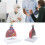 Respiratory Model Life-Size Pathological Lung Anatomy 2