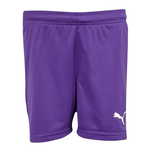 Puma Puma Boys Team Logo Shorts