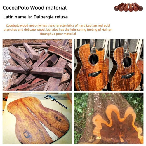 6 St Cocobolo Gitarrbryggstift för Förbättrade Gitarrdelar för Stränginstrument 2