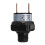 Air Pressure Switch for Train Horn with 1/8" NPT Connector 4