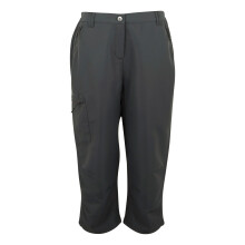 (8L, Seal Grey) Regatta Womens/Ladies Chaska III Walking Capri Cropped Trousers