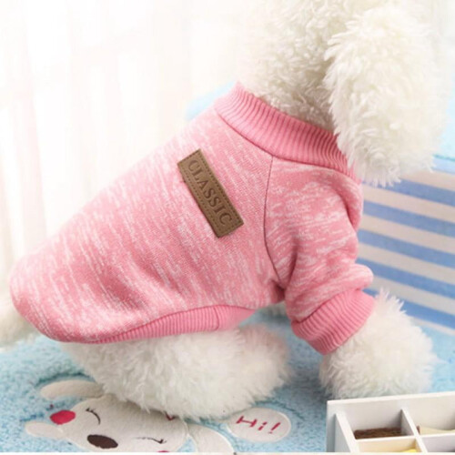 Soft Dog Knit Sweater Summer Classic Outfit 2