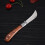 Stainless Steel Fruit Knife Mushroom Shape Multifunction 6