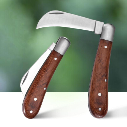 Stainless Steel Fruit Knife Mushroom Shape Multifunction 2