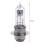 Estone P15D-25-1 White Headlight Bulb 12V 35W 8