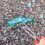 Trash Grabber for Litter Picking and Seafood Handling 2 pcs 7