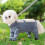 Dog Leg Cover Water Resistant Breathable Memory Fabric 8